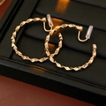 Nahaufnahme goldener geometrischer C-Form Clip-Ohrringe mit weichen Polstern auf Lederetui - Ohrclips / Gold
