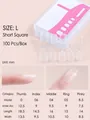 Size chart for L size short square press-on nails including length and width dimensions - Short Square (Size L)