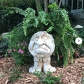 Funny Muggly face statue planter with grumpy expression among ferns in a lush garden - Neighbor Uncle