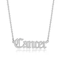 Detailed shot of silver titanium steel Cancer zodiac pendant on a thin link necklace - Cancer (Steel Color)