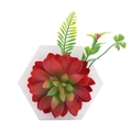 Artificial succulent in white hexagonal pot with red gradient leaves and green ferns - Style 4E