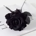 Single black velvet artificial rose flower placed on a minimalist magazine for decoration - All Black