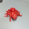 3D printed realistic spider toy in bright ruby red finish with visible layered texture - Spider / Red