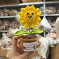 Handmade yellow sunflower crochet plant in a brown pot with a motivational thank you card - 5 Smiling Face Sunflowers