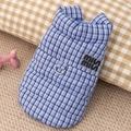 Blue plaid pet winter vest with metal D-ring leash attachment and MISS MISS logo - S / Tops / Blue Plaid