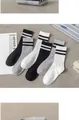 Three pairs of mid-calf cotton sports socks in black, white, and grey with double stripes - Bare Socks / Grey With Double Black Stripes
