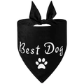 Detail of black cotton dog bandana with white Best Dog text and paw print design - Style 4-Black Best Dog Paw