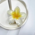 Molla per capelli a fiore di frangipane con sfumatura gialla su vassoio bianco - 8cm / Petalo Bianco Cuore Giallo