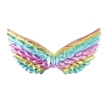 Rainbow gradient swallow-style princess wings with metallic quilted feather texture - Rainbow