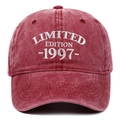 Makrodetail der weißen Limited Edition 1997 Bestickung auf gewaschener roter Baumwollkappe - Burgunderrot
