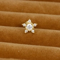 Vue macro d'un clou d'oreille étoile dorée serti de zircons sur velours marron élégant - Pentagramme / Or / 0,1