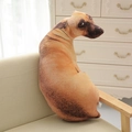 20cm / Sabueso