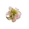 Macro detail of 4cm translucent glitter flower hair claw with pink and green gradient - Transparent Glitter Plumeria / Green
