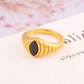 Ring aus Titanstahl mit 18k Goldbeschichtung, schwarzem Zirkon und gestreiftem Band - US 7 / Gold