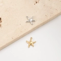 Starfish charms in gold and silver finish for DIY stainless steel jewelry - Starfish Style (1#)