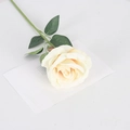 Single cream velvet artificial rose stem with green leaves on white background - Large Velvet Champagne