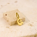 Macro detail of a polished gold letter G pendant resting on a natural texture stone - Letter-G / Steel