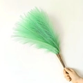 Bunch of 55cm artificial pampas grass in mint green finish for boho home decor - 53-55cm / Celadon