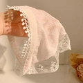 Elegant light pink lace underwear with delicate floral patterns and breathable mesh fabric - Light Pink Lace Trim