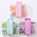 Morandi macaron stationery set with gold binder clips and paperclips in clear box - 7750 Set (Paper Clips + Thumbtacks + 25mm/19mm Binder Clips)