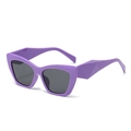 Geometric purple cat-eye sunglasses with thick plastic frame and dark lenses - Purple Frame Grey Lens