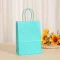 Detailed view of lake blue kraft paper gift bag with sturdy twisted rope handles - 15x11x6cm Matching Handle / Turquoise Blue