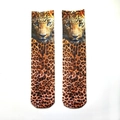 Nuovo Leopardo
