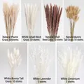 Dried pampas grass and rabbit tail bouquet set in natural and white color variants - ￡￡￡006 - Seven-piece Set ￡￡￡￡