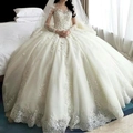 Ivory long sleeve bridal ball gown with intricate lace appliques and sequin embroidery - US 2 / Pure White