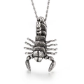 Vintage silver scorpion pendant in titanium steel with a twisted rope chain necklace - Silver Scorpion Style (KP32083-D)