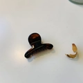 Gros plan sur une pince à cheveux en résine ambre translucide sur un fond plat blanc - Marron Rouge Brillant