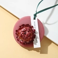 Pink scented wax tablet with dried red flower and green ribbon hanging decoration - Standard Pack / Amber Ebony