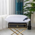 Plush white Hilton garden hotel collection pillow on luxury display stand - White / 48*74cm (Low 550g)