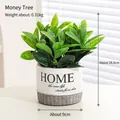 Realistic artificial money tree in a ceramic pot with HOME print, 18.5cm height - Money Tree - Home Potted Artificial Flower