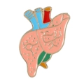 Detailed pink enamel liver organ brooch with golden edges for doctors and nurses - Liver Structure (C2937-4)