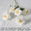 Flame Chrysanthemum White