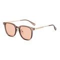 Retro square sunglasses with tea-colored frames and slim gold metal temples - Transparent Tea Frame Tea Lens C11