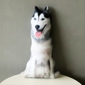 Realistic 3D Husky plush pillow with heterochromia eyes on a minimal white table - Husky