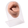 Modello di bocca e lingua in silicone color carne con supporto per piercing training - Bocca con Lingua Fuori e Supporto / caffè