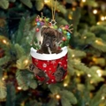 Kreativer Boxer Hund Weihnachtsanhänger in roter Socke für festliche Baumdekoration - Boxer