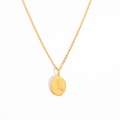 Collier en acier titane avec lettre F, placage or et pendentif serti de zircon - F-Zircone blanc