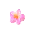 Detail of frangipani hair claw clip with pink and yellow gradient on a white background - #4 Pink - Gradient - 8cm
