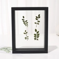 Minimalist black wooden floating frame with double-sided glass and dried plant specimen - Black