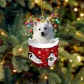 Süßer weißer Welpe in einem festlichen Weihnachtsstrumpf als Hängedekoration - Samojede Typ 2