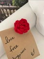 Elegant red velvet rose hair claw clip in a realistic floral design for French retro style - Red