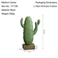 Scultura di cactus nordico in resina verde con base in legno per arredamento - Cactus Medio-A2-171126