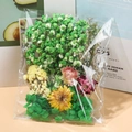 Assorted dried flowers pack including gypsophila and pink blooms in clear packaging - Dried Flowers Bag Green 14.5g
