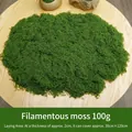 Natural green artificial filamentous moss 100g for landscape DIY and garden decoration - 100 g / Dark Green