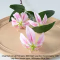Flame Lily Light Pink