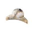 Detail view of a large marble texture hair claw clip with beige and brown shell patterns - Shell Brown